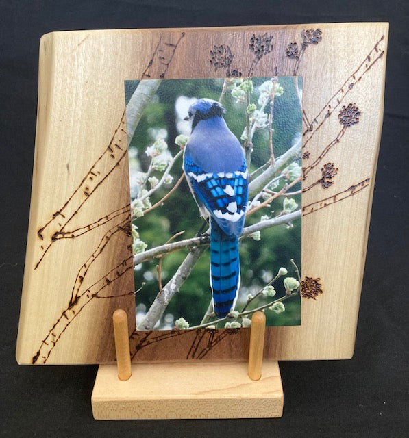 Backyard Friends photo panel