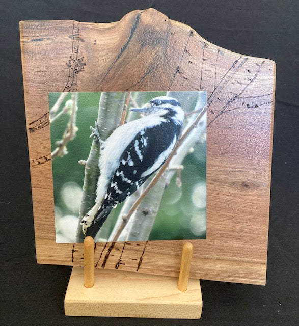 Backyard Friends photo panel