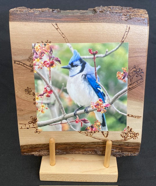 Backyard Friends photo panel