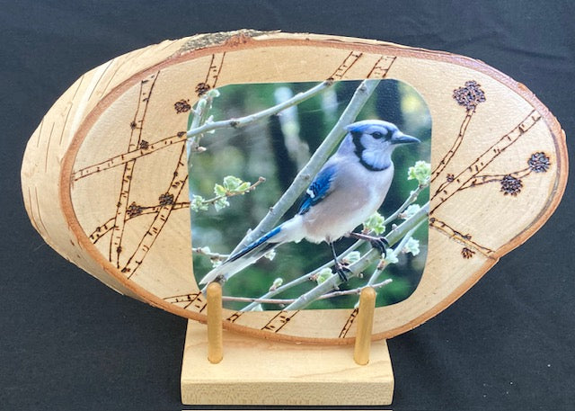 Backyard Friends photo panel