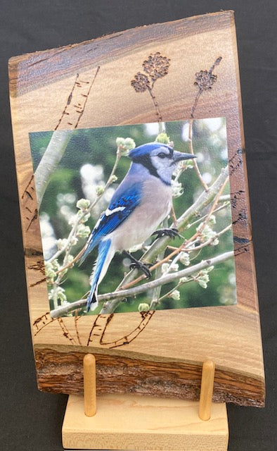 Backyard Friends photo panel