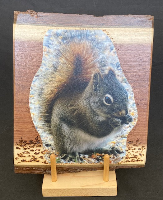 Backyard Friends photo panel