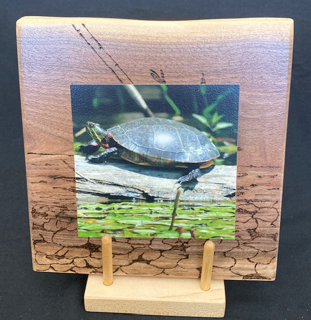 Backyard Friends photo panel