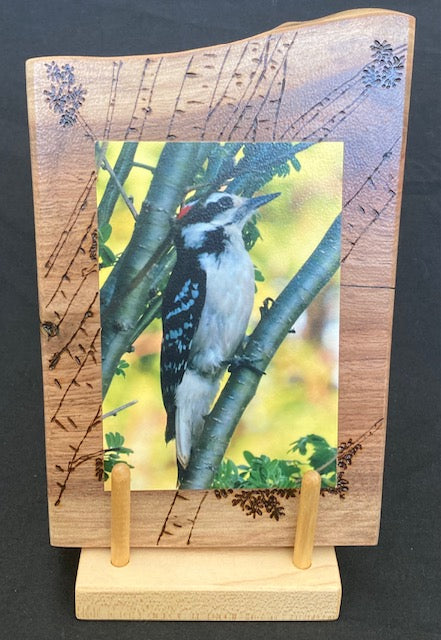 Backyard Friends photo panel