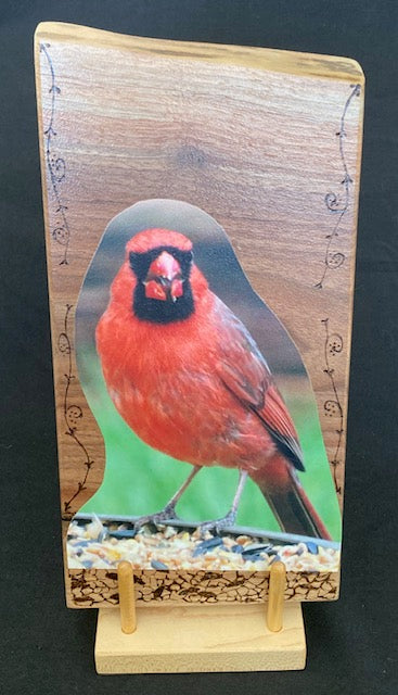 Backyard Friends photo panel