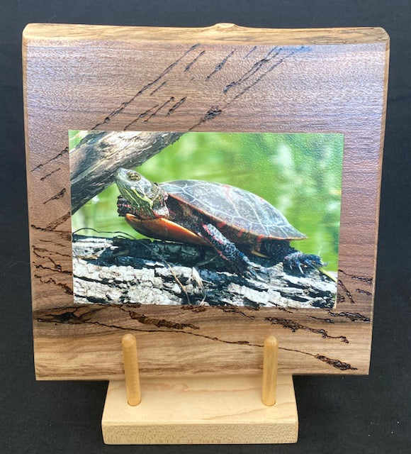 Backyard Friends photo panel