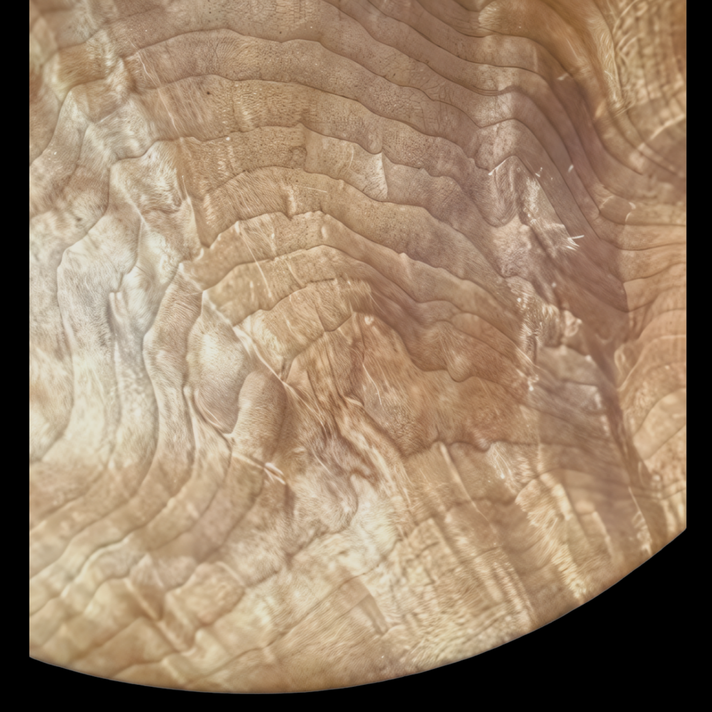 Birch bowl