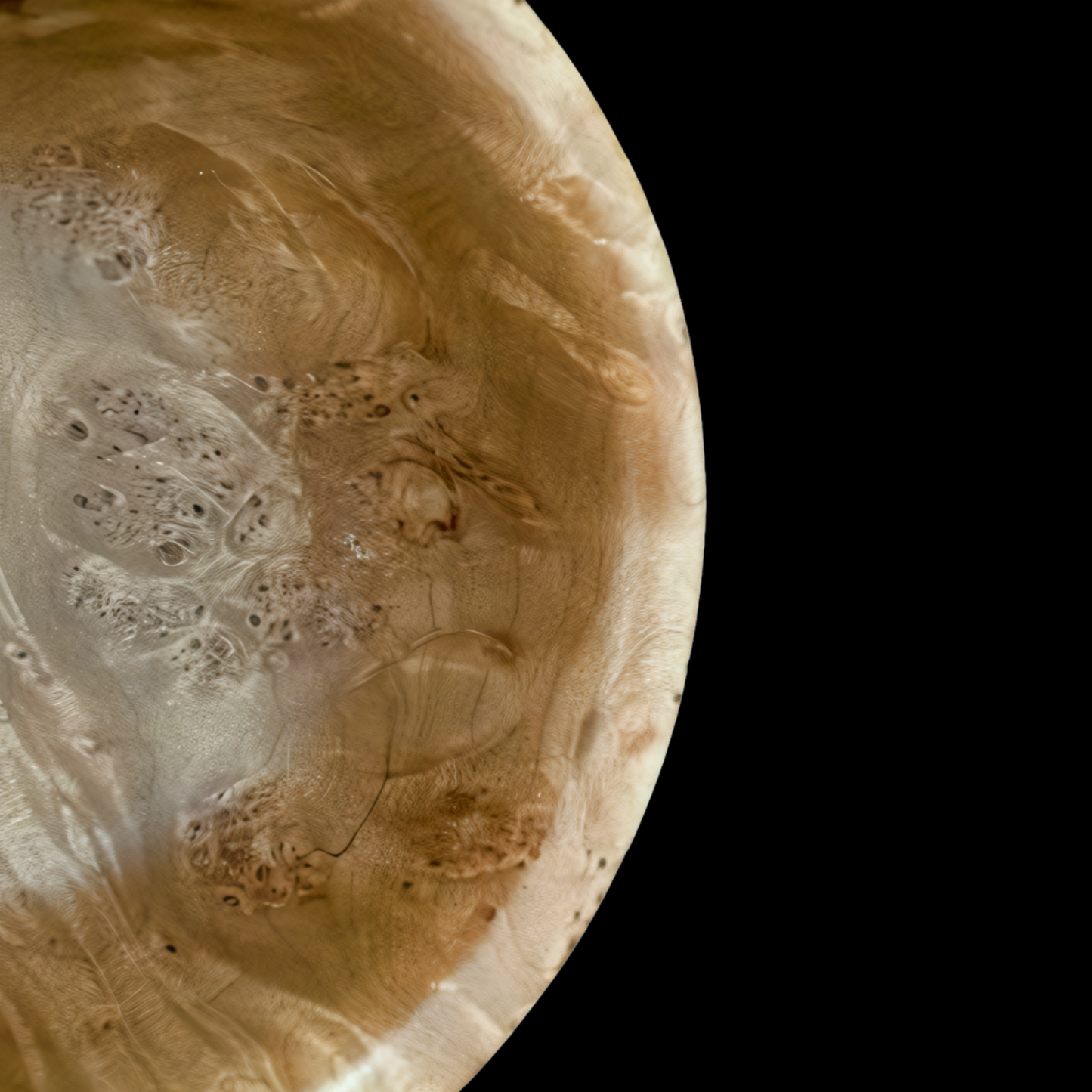 Maple burl bowl