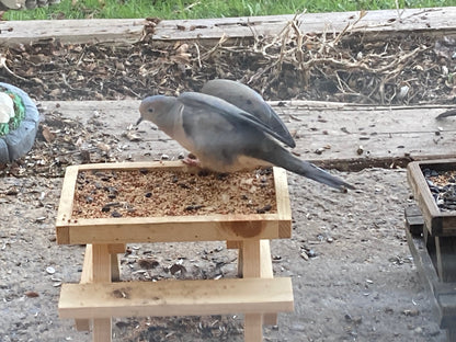Bird Feeder Picnic Table