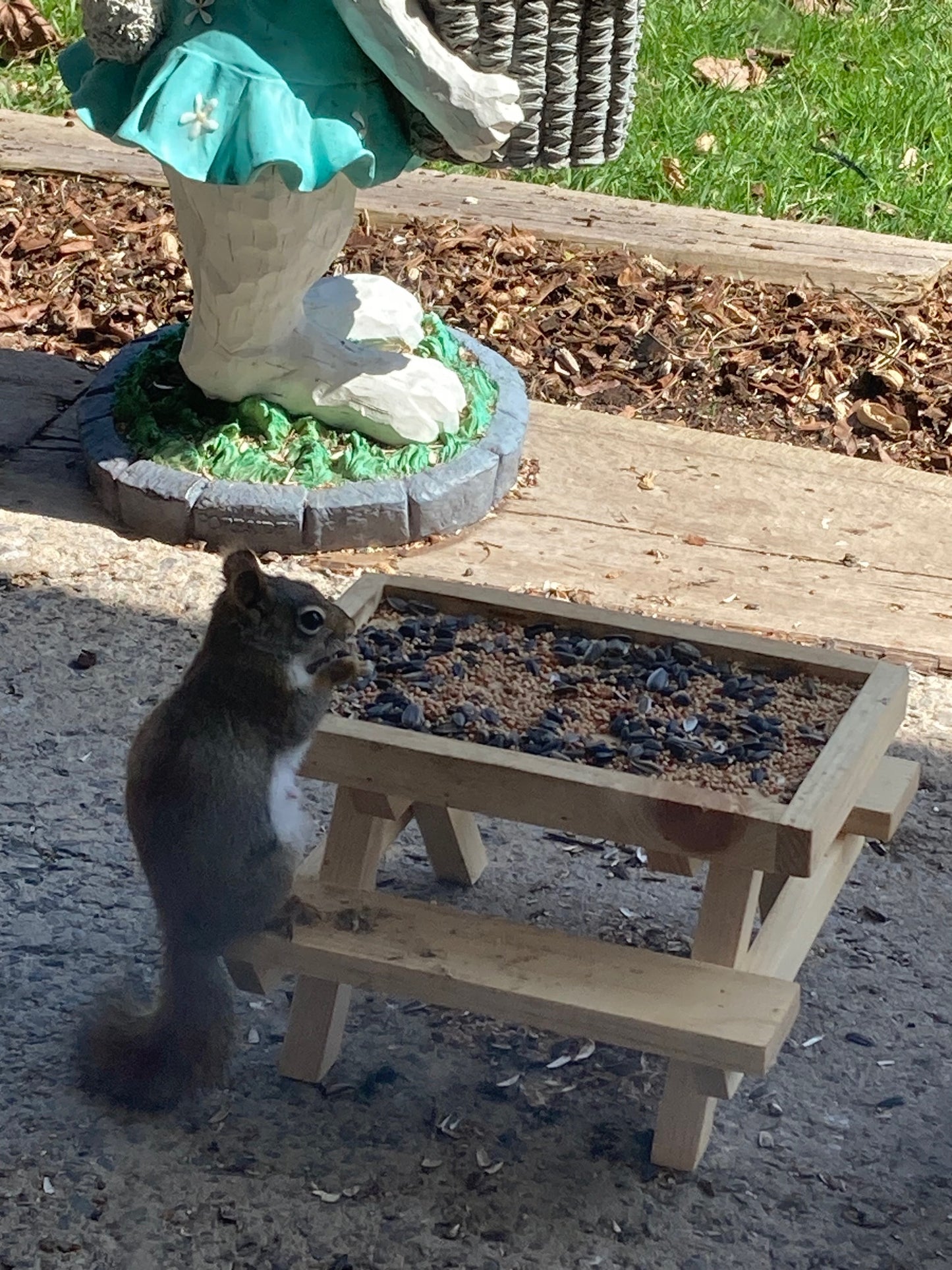 Bird Feeder Picnic Table