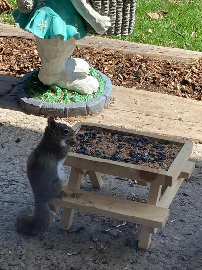 Bird Feeder Picnic Table