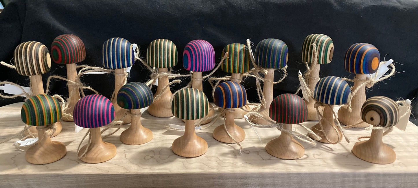 Colourful mushrooms