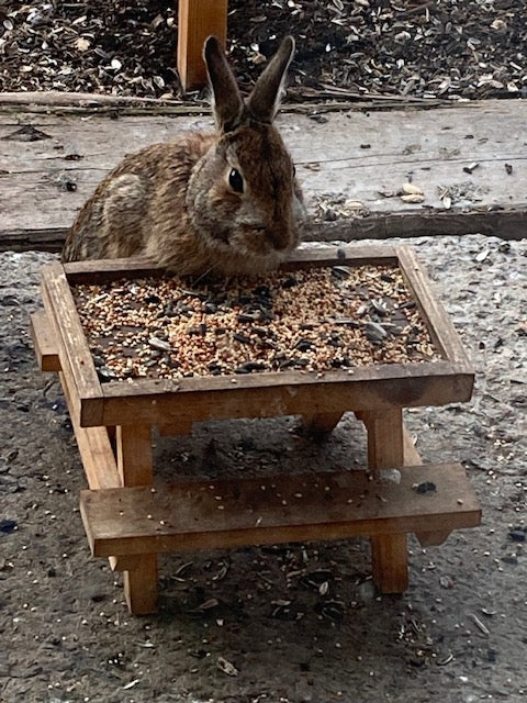 Bird Feeder Picnic Table