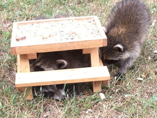 Bird Feeder Picnic Table