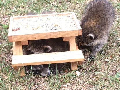 Bird Feeder Picnic Table